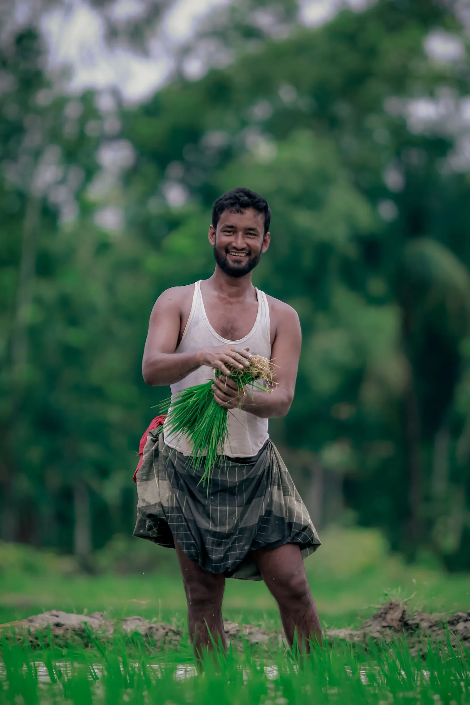 A farmer standing in a flooded paddy field, holding a bundle of young rice seedlings